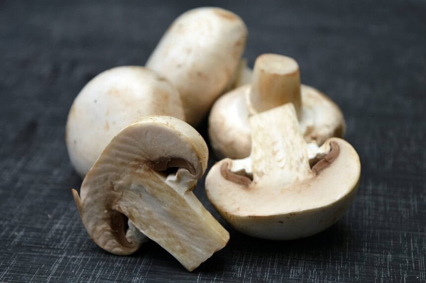 mushrooms 2044114 1920 min