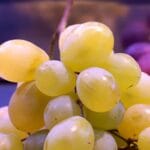 grape 1740957 1920 min